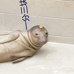 一分三塊綠茶直播