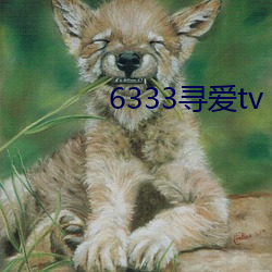 6333Ѱtv