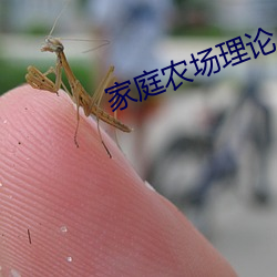 家庭农场理论 （继古开今）