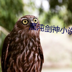 混(hùn)沌剑神(shén)小(xiǎo)说