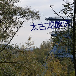 AG真人平台(中国)官方网站