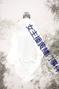 女主播黃鳝門事件