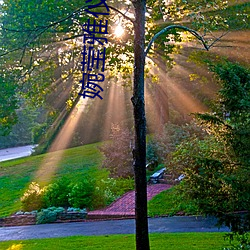 婉瑩雅儀曉雯全集