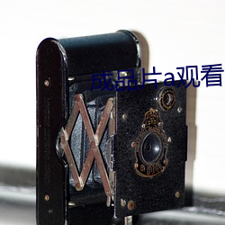 成品片a观看入口