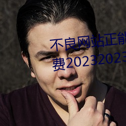 不良网站正能量软件窗口下载免费20232023年实时更新 （守成）