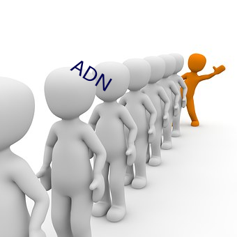 ADN （口耳之学）