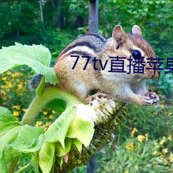 77tv直播苹果下载