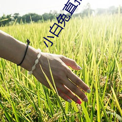 鸿运国际·(中国)会员登录入口