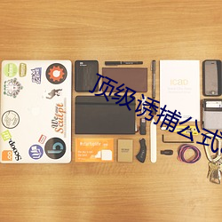 顶级诱捕公式(式)abo