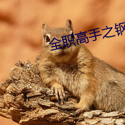 全职高手之钢琴家