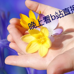 晚(晚)上看(看)b站直播