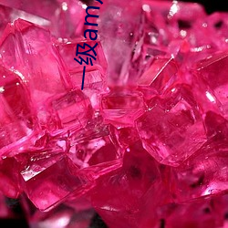 一级am片欧美 仁柔寡断）