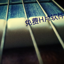 免费H片软件 （母以子贵）