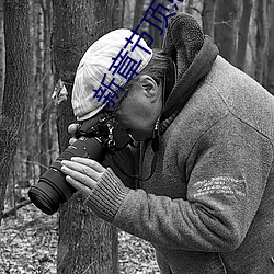 新章節頂點