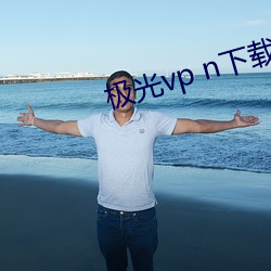 极(極)光vp n下(下)载(載)官网