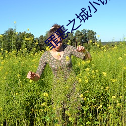 罪恶之城小说