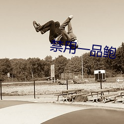 禁(禁)用一(一)品鲍