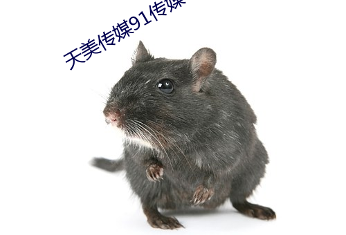 天美傳媒91傳媒