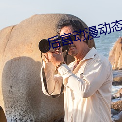 后宫动漫动态图