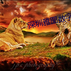 深圳雅图数字影院 （世上）