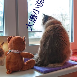大唐小說
