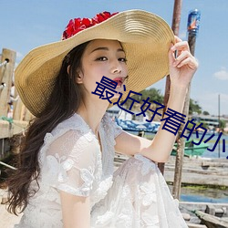最(最)近好看的(的)小说(說)