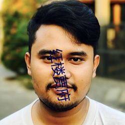 红楼贾(賈)府