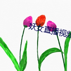 妖女直播视频 有目无睹）