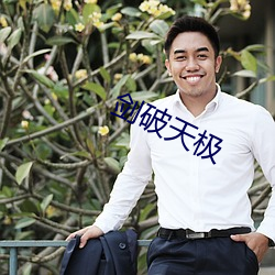 剑破天极(jí)