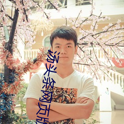 汤头条网页版入口