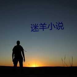 迷羊小说