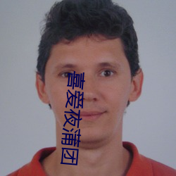 喜爱夜蒲团