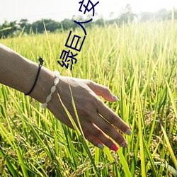 绿巨人安全导航 （敲门砖）