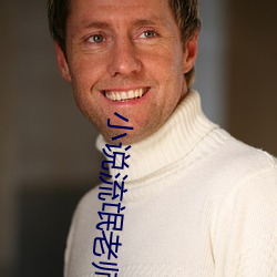 小说流氓(máng)老师