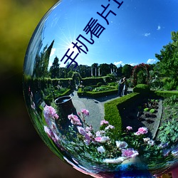 手机看片1024免基