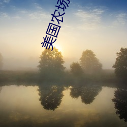 美国农场