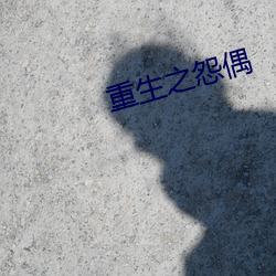 重生之怨偶