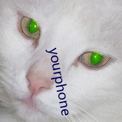 yourphone