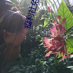 福利社免费体(體)验(驗)
