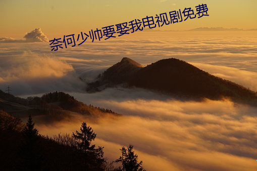 奈何少帥要娶我電視劇免費