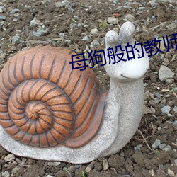 母狗般的教师