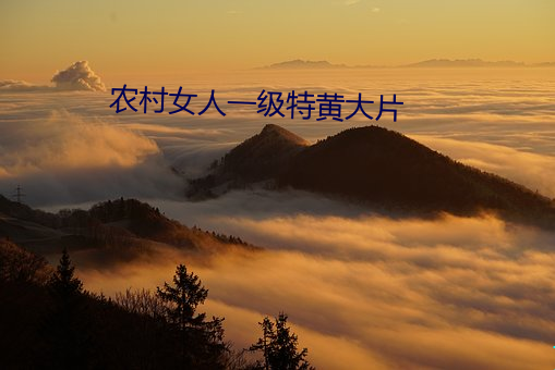 農村女人一級特黃大片