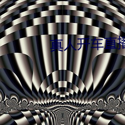 真人开(開)车直(直)播(播)软件(件)下载