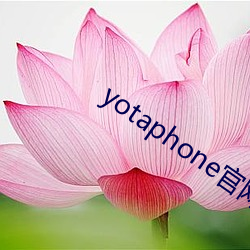 yotaphone官网 男女有别）