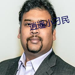 逍遥小刁(刁)民