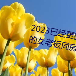 ǲ(й)ٷվ