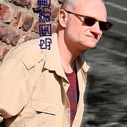 岛国奇遇记 （人尽其才）