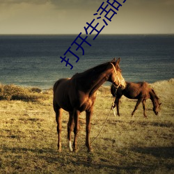 打开生活的正确方式免费观