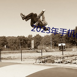 2023年(年)手(手)机伦理
