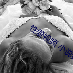 性爱视频 小说合(合)集(集)
